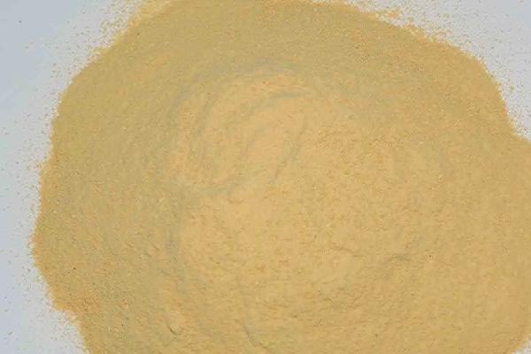 副猪嗜血杆菌首选用药