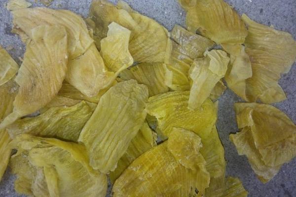 鸡内金是鸡胗吗