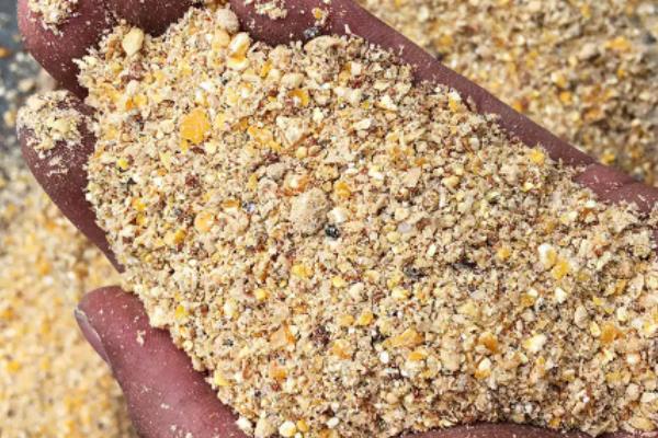 自己配鸡饲料要哪几种配方