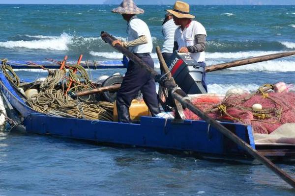 我国近海捕捞过程中出现渔获量降低鱼个体小等现象的主要原因是
