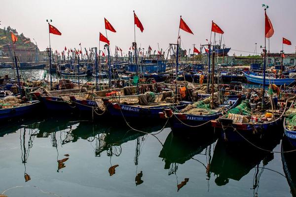 我国近海捕捞过程中出现渔获量降低鱼个体小等现象的主要原因是