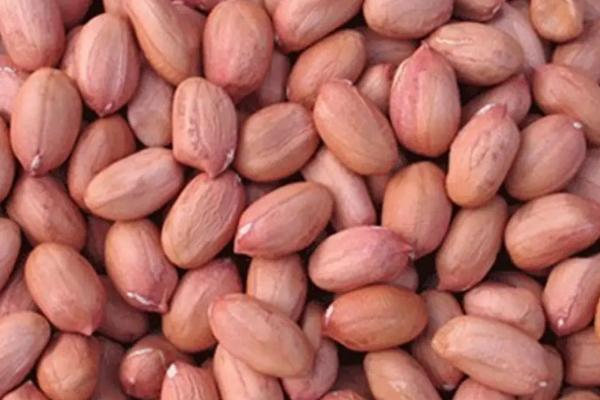 种一亩花生要多少斤种子