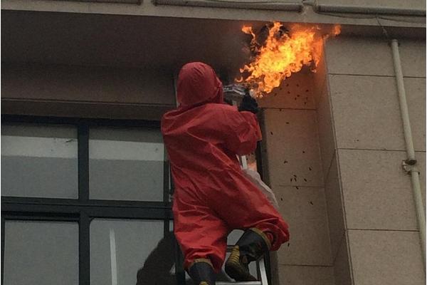 马蜂怎么消灭最有效