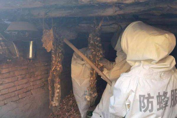 马蜂怎么消灭最有效