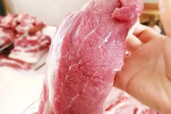 肥膘肉是哪个部位