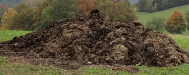 人尿肥最简单的发酵方法