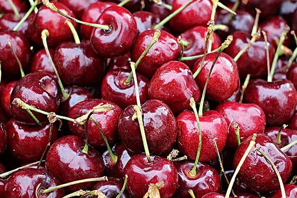 汶川车厘子上市时间