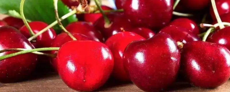 车厘子是哪里产的