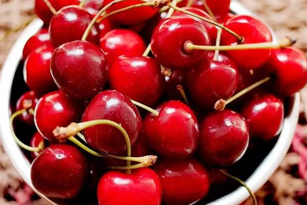 车厘子是哪里产的