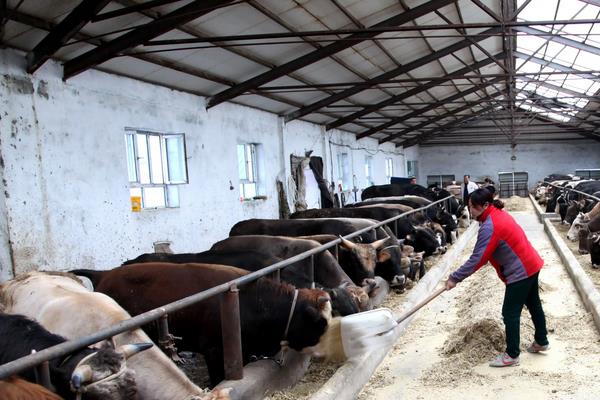 畜牧业分为哪几种类型