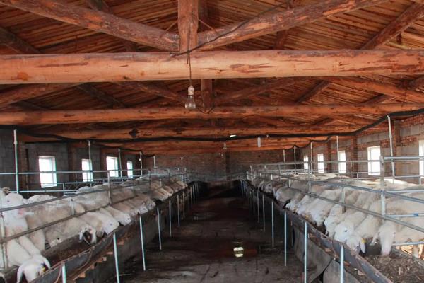 畜牧业分为哪几种类型