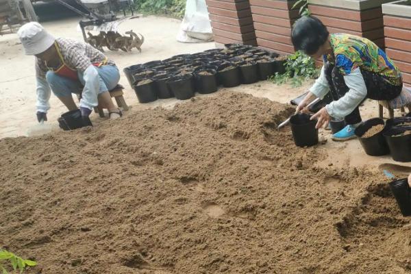 种菜的土壤怎么制作?种菜的土壤是酸性好还是碱性好