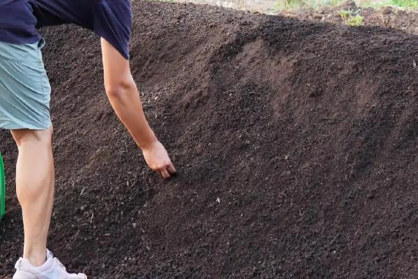 种菜的土壤怎么制作?种菜的土壤是酸性好还是碱性好