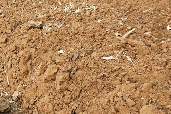 种菜的土壤怎么制作?种菜的土壤是酸性好还是碱性好