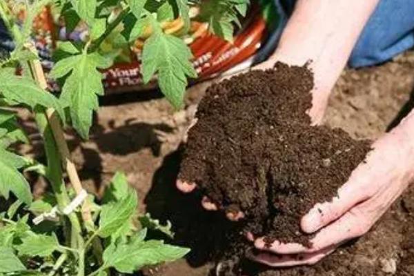 氨基酸水溶肥配方，怎么用