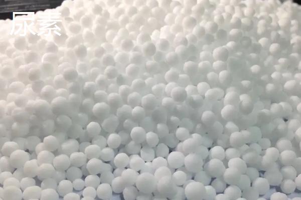 哪种肥料不属于有机肥料,有机肥料和无机肥料的区别