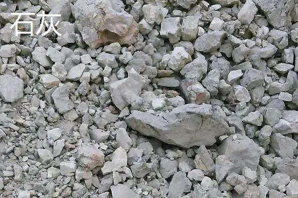 哪种肥料不属于有机肥料,有机肥料和无机肥料的区别