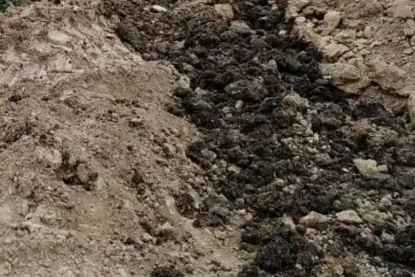 西瓜最适宜的温度是多少，西瓜种植用什么肥料