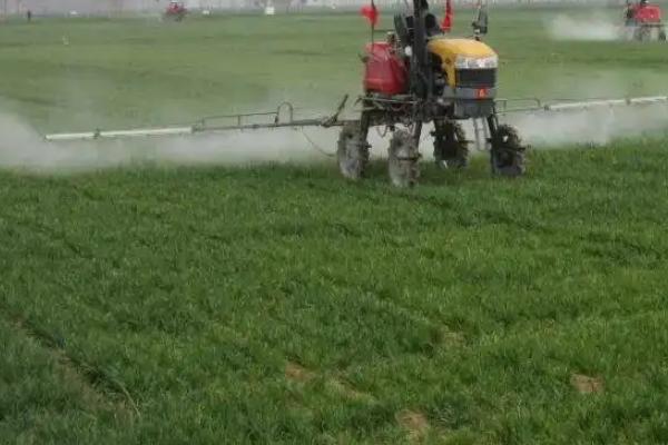 防治小麦赤霉病农药最佳配方，是什么原因导致的