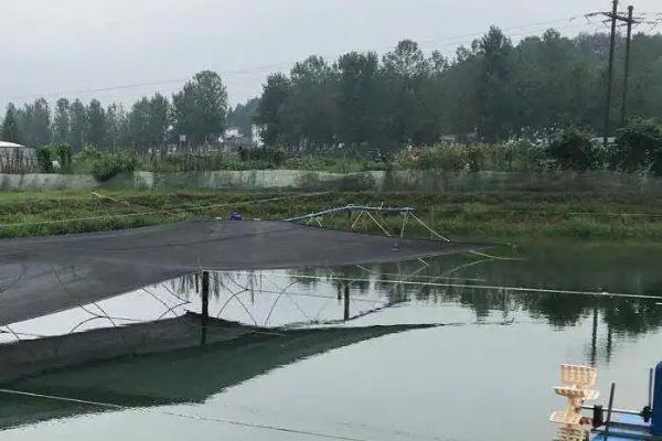 鱼塘浑浊的水变清的三种方法，鱼塘底部用水泥还是用土工膜好