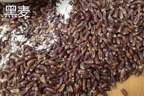 乌克兰农业主要生产什么,乌克兰为什么称为欧洲粮仓