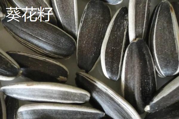 乌克兰农业主要生产什么,乌克兰为什么称为欧洲粮仓