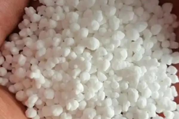 硝酸铵钙适用于哪些植物,硝酸铵钙肥效期多少天