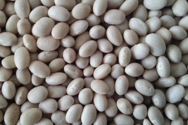 酸性土壤适合种植什么农作物，酸性土壤和碱性土壤有什么区别