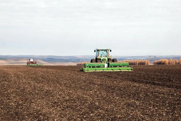 粘玉米一亩地种多少棵，粘玉米的种植方法