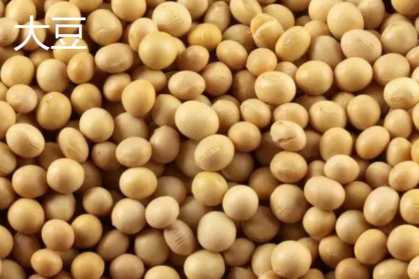 鹅多久能长成大鹅,鹅吃什么东西长得快