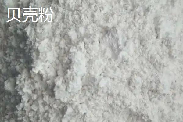 鹅多久能长成大鹅,鹅吃什么东西长得快