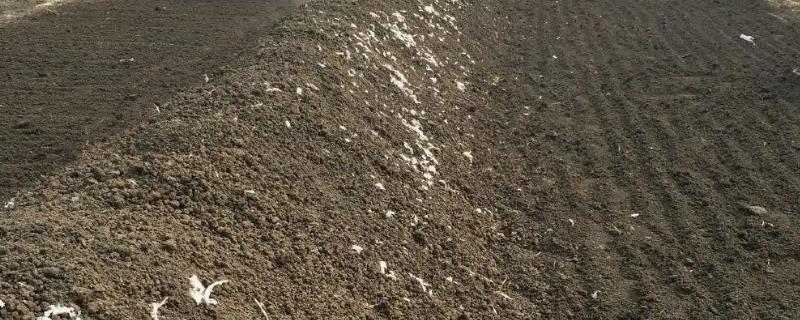 如何发酵鸡粪有机肥，鸡粪有机肥适合哪些农作物