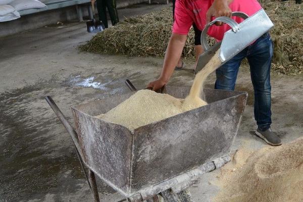 仔猪浓缩饲料配方,浓缩饲料怎么喂比较好
