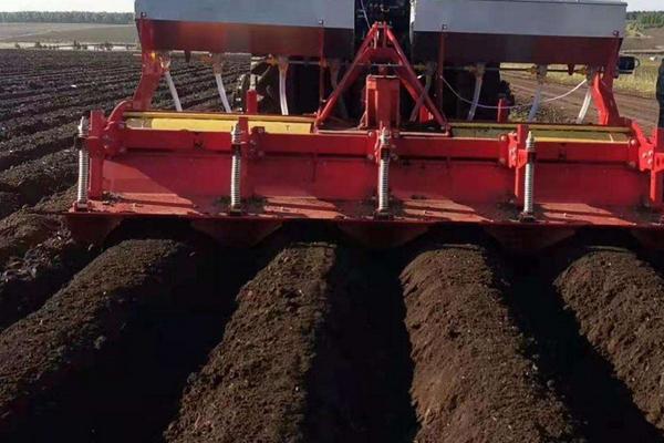 马铃薯的种植方法和时间