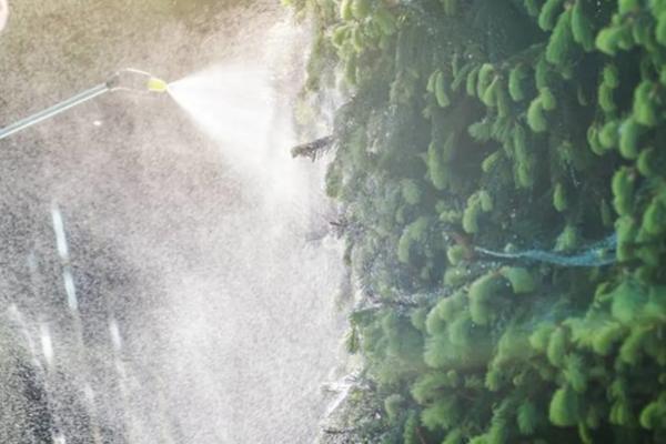 尿素的正确使用方法，尿素的主要成分是什么