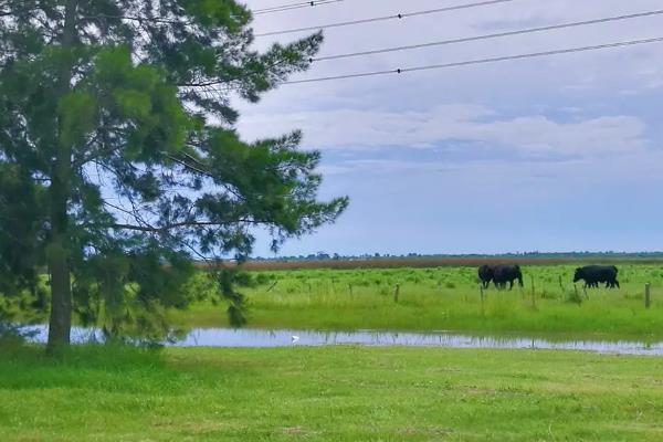 潘帕斯草原农业类型，农业类型和农业地域类型的区别