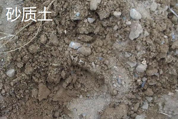 沙质土和粘质土和壤土有什么区别,沙质土和粘质土和壤土分别适宜生长什么植物