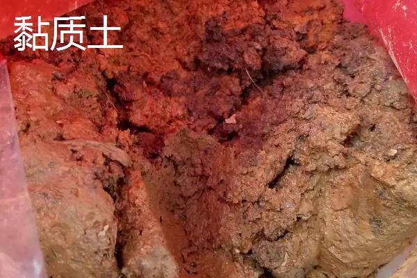 沙质土和粘质土和壤土有什么区别,沙质土和粘质土和壤土分别适宜生长什么植物