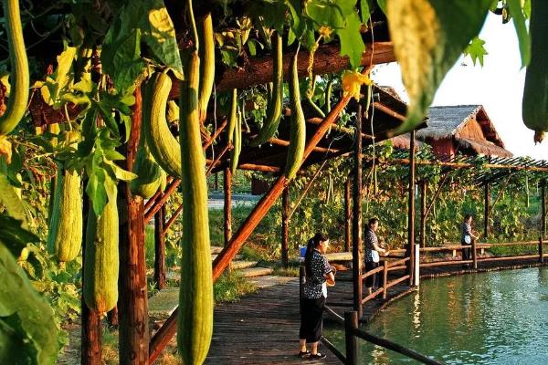 生态农场的经营模式,生态农场和家庭农场的区别