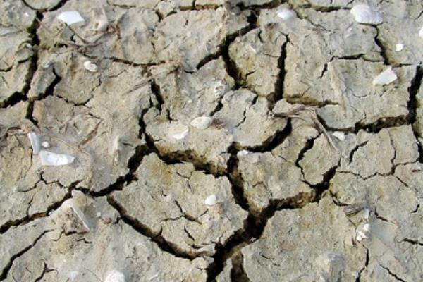 改良酸性土壤的碱,酸性土壤和碱性土壤的区别