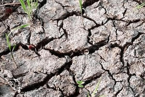 改良酸性土壤的碱,酸性土壤和碱性土壤的区别