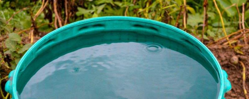 腐熟的液肥是什么肥