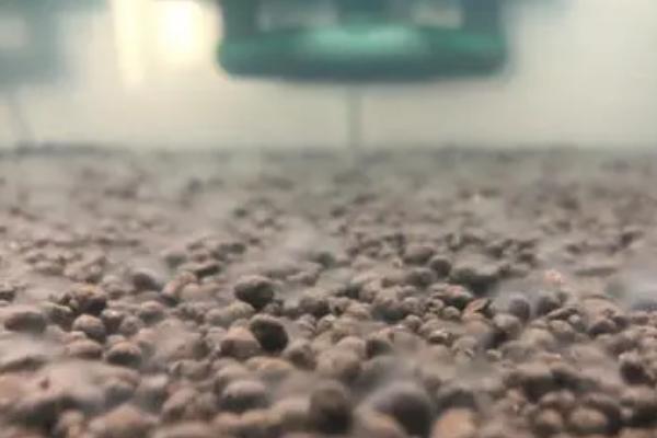 硝化细菌对鱼有害吗，硝化细菌的作用及使用方法