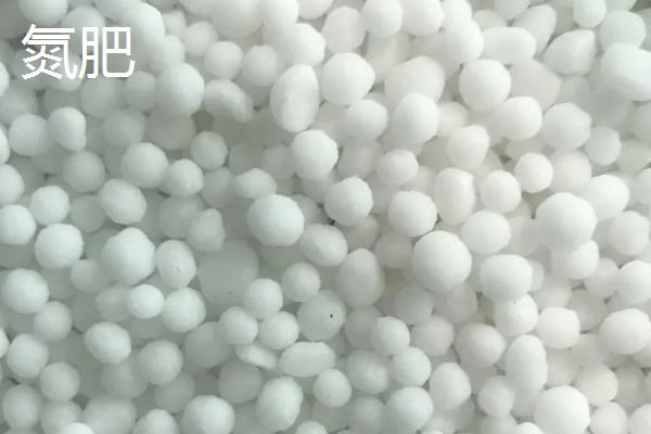 氮肥养花的作用