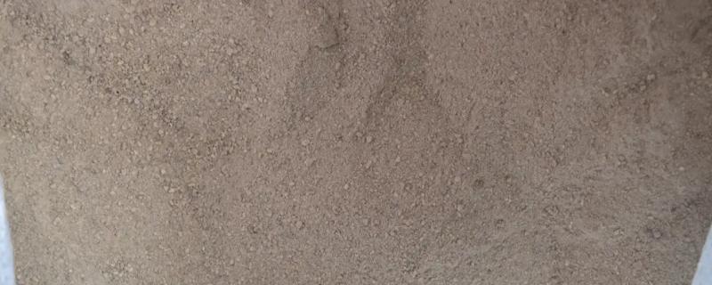 骨粉养花有什么作用