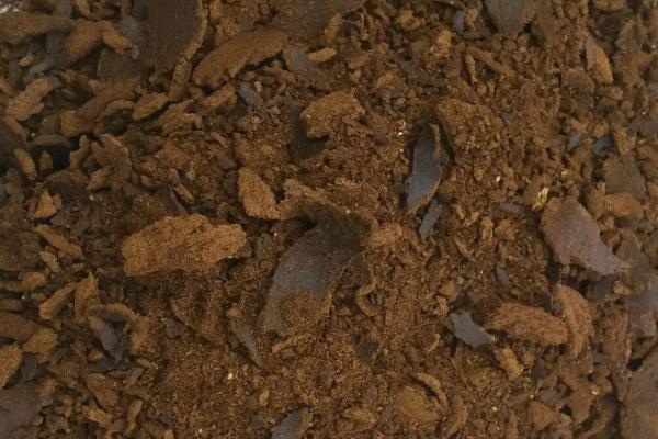 养花可以用有机肥吗