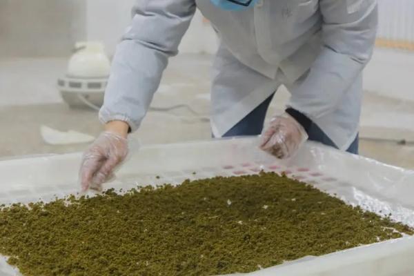 蚕饲料制作配方