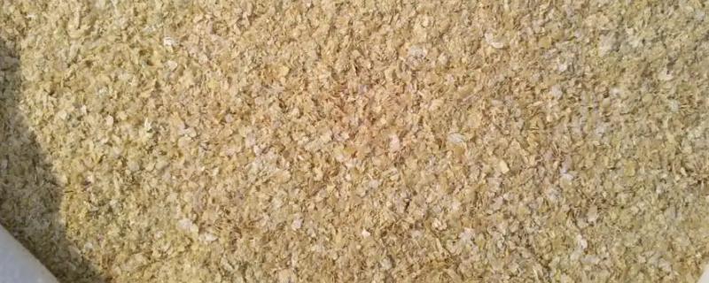 牛羊饲料有哪些