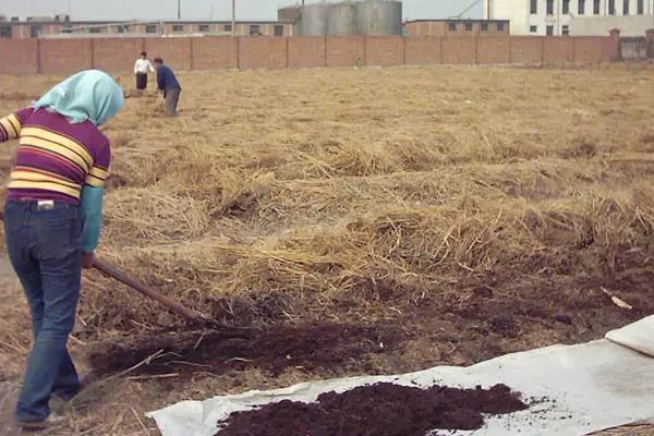 蚯蚓饲料有哪些