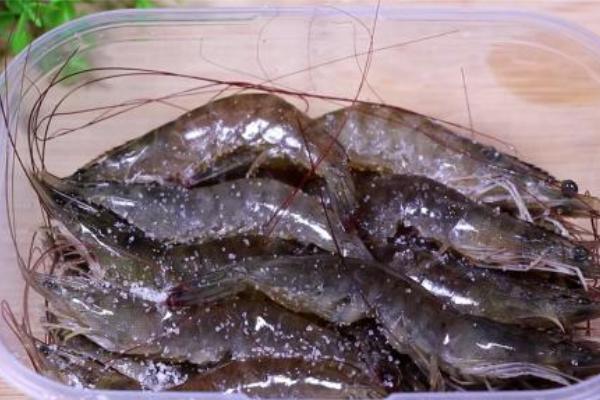 新鲜虾子怎么保存